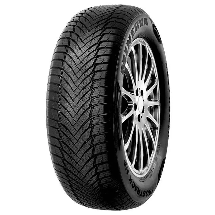 Minerva Frostrack HP 195/55 R 16