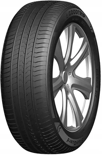 Goodtrip BlueGuard 195/55 R 16