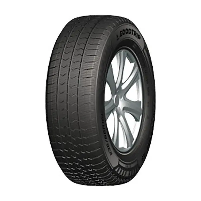 Goodtrip SafeGuard AS 205/65 R 16